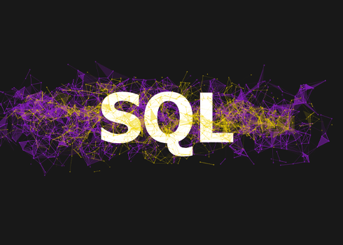 SQLのプロ人材をマッチング